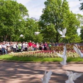 Memorial Day parade in Minnesota.
