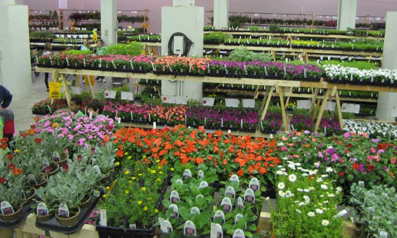 Friends School Plant Sale, State Fairgrounds, May 8-10 ...