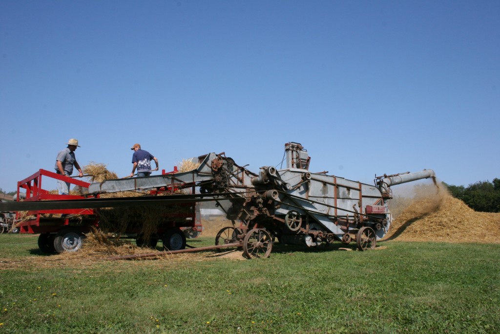 workers on old fashioned threshing machine