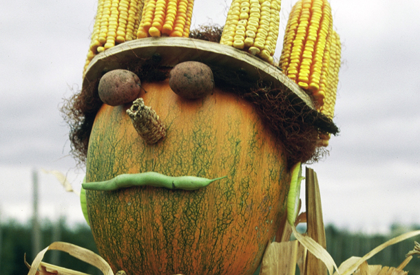 scarecrow with corn cob crown