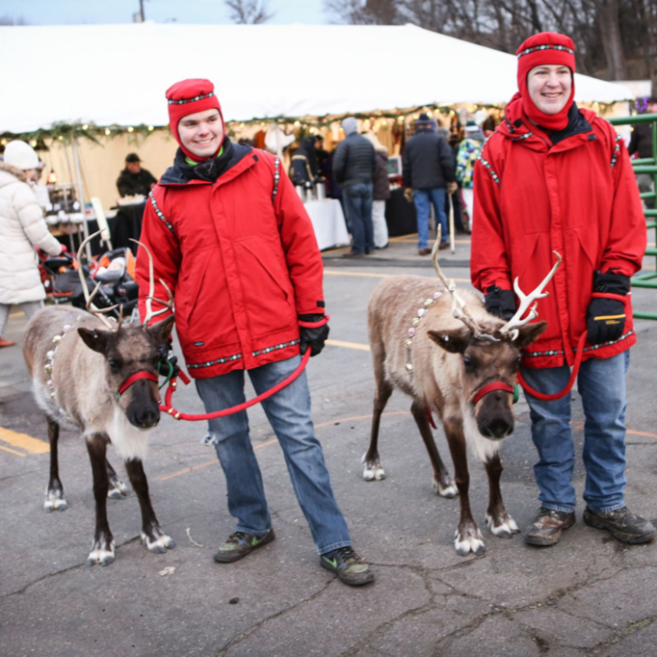 Two volunteers with reindeer. 