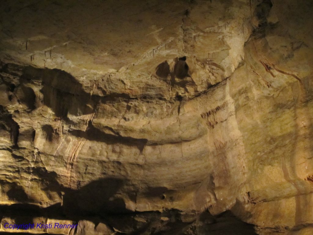 Our day at Mystery Cave and Forestville
