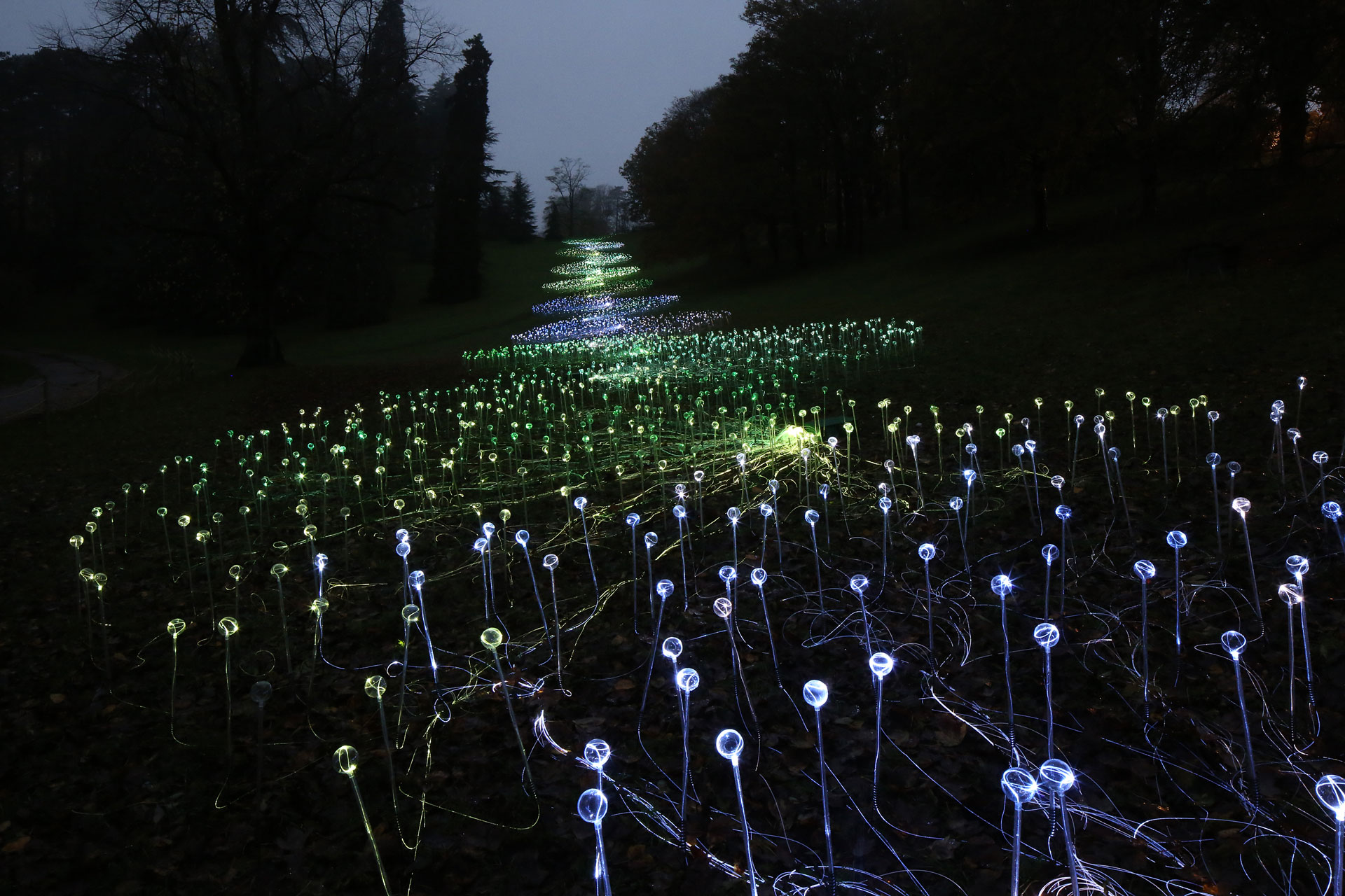 Landscape arboretum light show