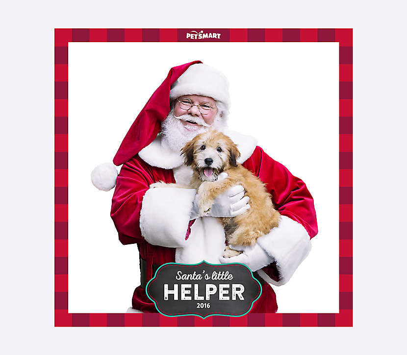 pets-get-free-picture-with-santa-claus-at-petsmart