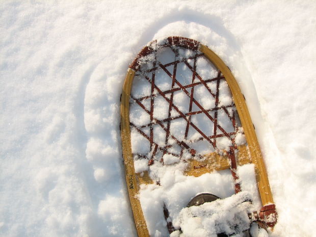 wooden snowshoe on snow.