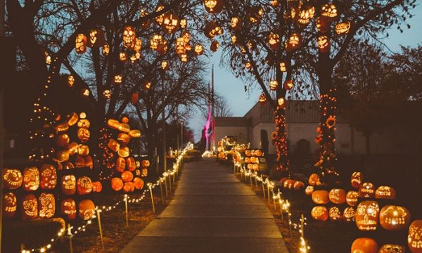 Pumpkin Nights Twin Cities Discount Tickets - Thrifty Minnesota