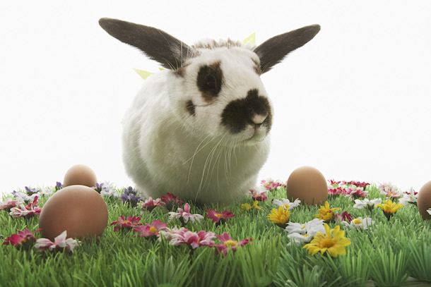 Free Public Easter Egg Hunts in Minnesota.