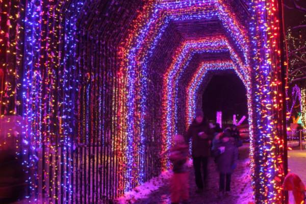 Kiwanis Holiday Lights | Mankato (Sibley Park).