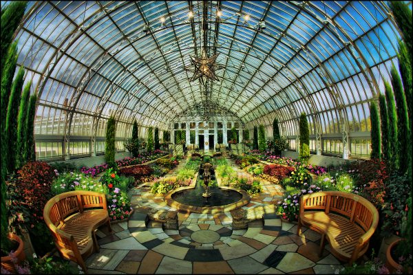 como park conservatory winter flower show thrifty minnesota