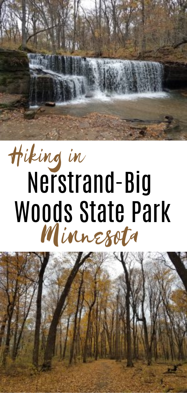 A Morning of Hiking in Nerstrand-Big Woods State Park - Thrifty Minnesota