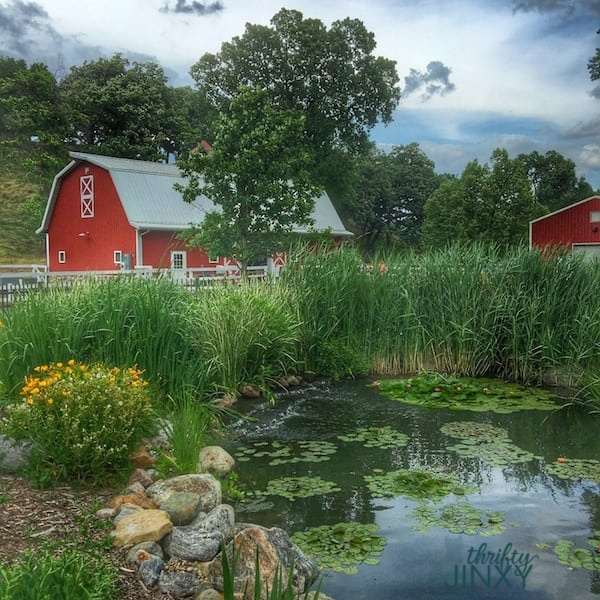 Sibley Farm Mankato