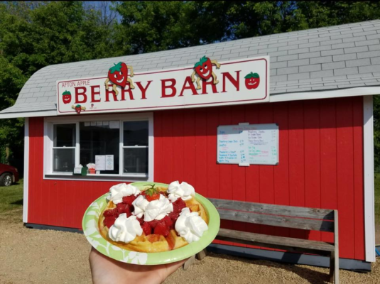 Waffle with Strawberries at Afton Strawberry Festival