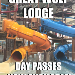 Great Wolf Lodge Day Pass