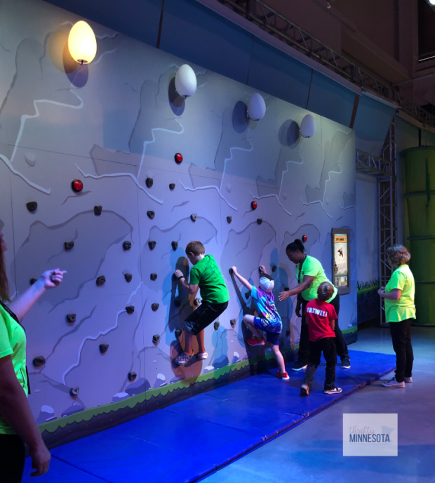 Angry Birds Climbing Wall