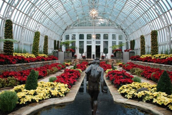 Holiday Flower Show – Como Park Conservatory.