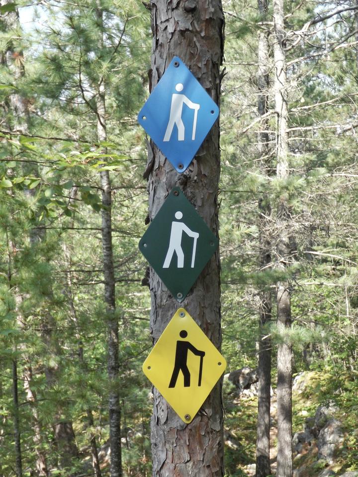 hike signs on a tree