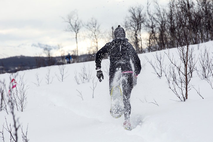 snowshoeing person in the woods. 