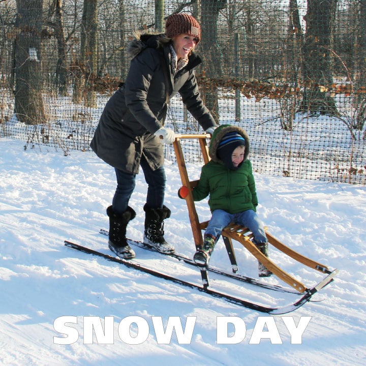 Wargo Nature Center Snow Day