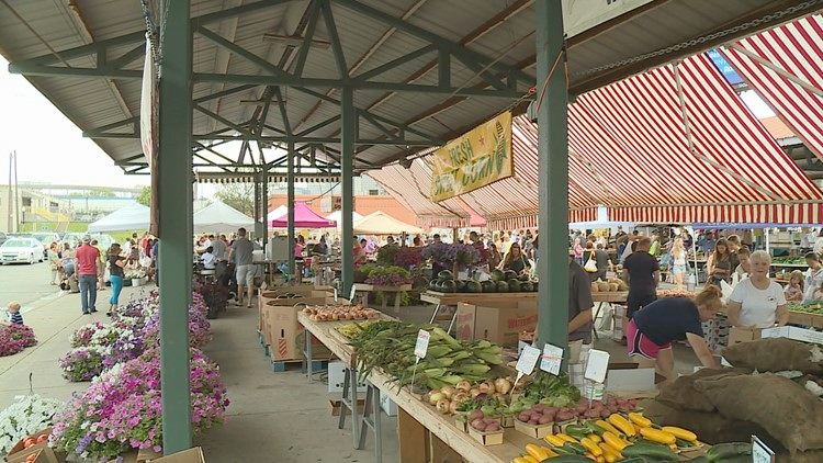 are dogs allowed at minneapolis farmers market