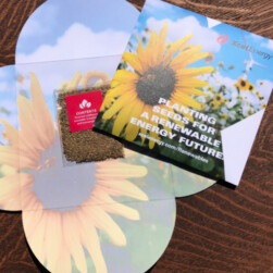 free pack of pollinator-friendly seeds from xcel energy