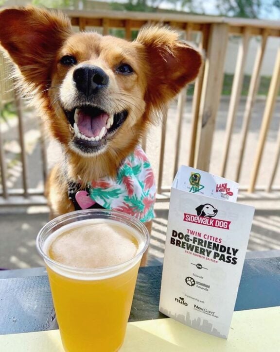 Twin Cities DogFriendly Brewery Passes BOGO through