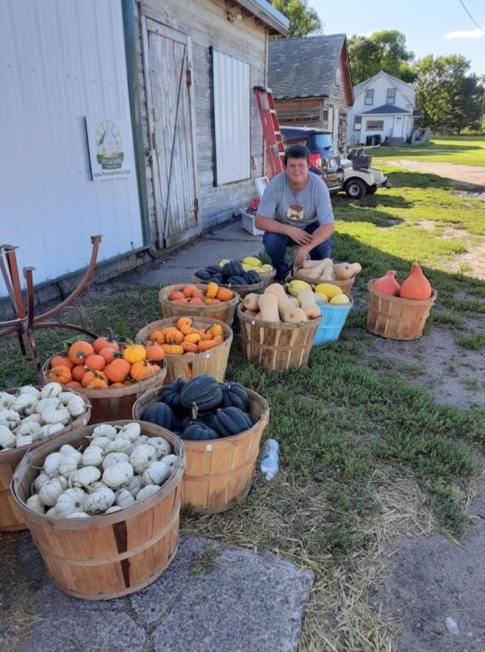 gourds and mini pumpkins