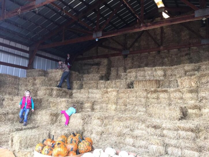 hay bales for climbing inside barn
