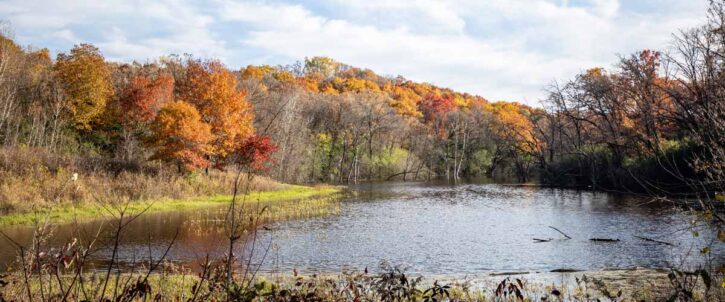 Richardson Nature Center Hyland Hills Park Reserve Autumn