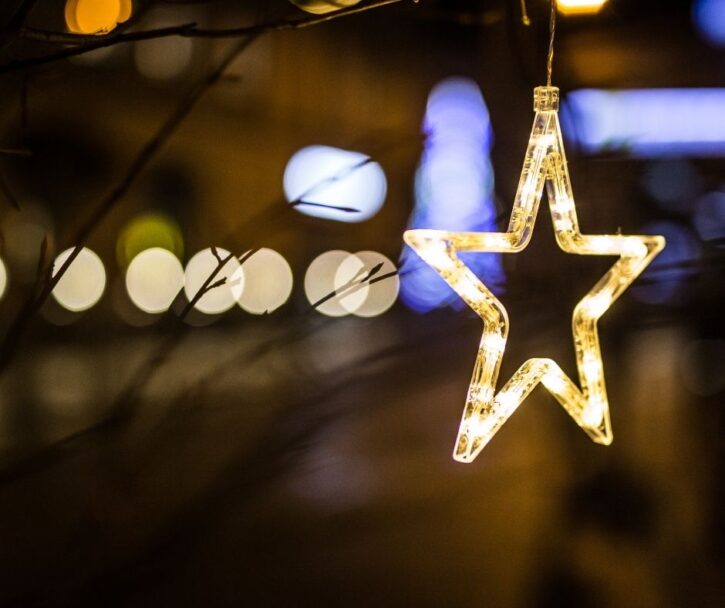 MN Holiday Lights Display - White Star on Branch.