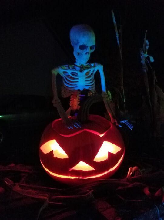 skeleton holding jack-o-lantern