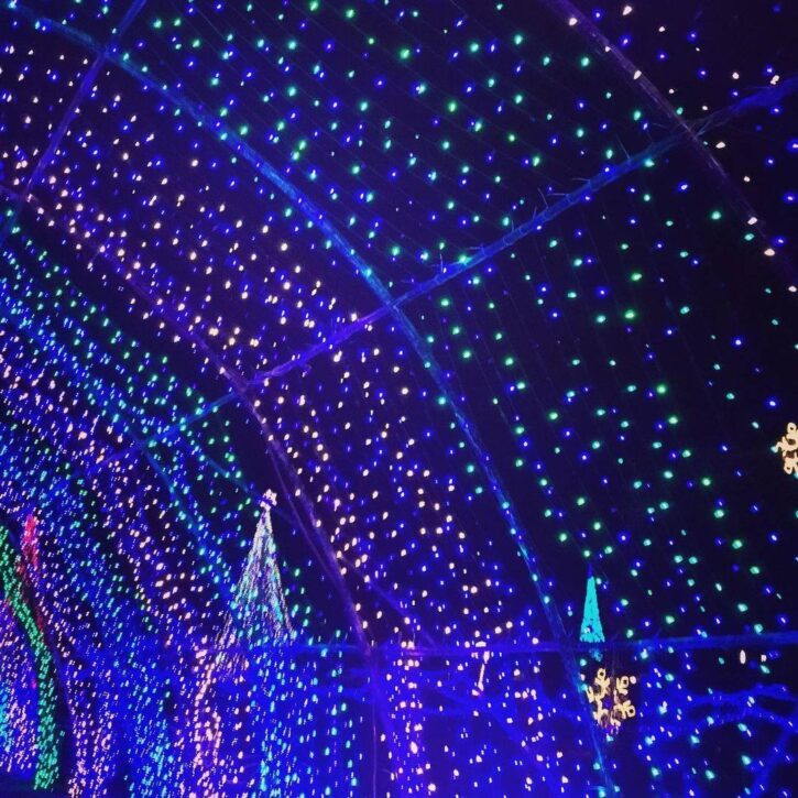 Save on Admission to Christmas in Color MN at Valleyfair