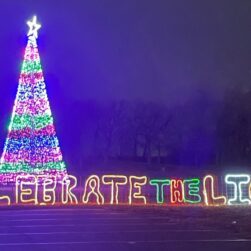 At Willmar's Celebrate the Light of the World, a large Christmas tree decorated with colorful lights stands by a light display reading "Celebrate The Light" in the foreground. The scene is set in a dark outdoor area.