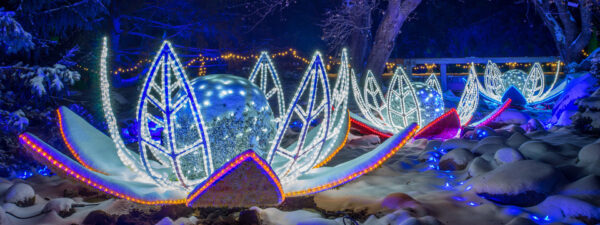 Winter Lights | Chanhassen (Minnesota Landscape Arboretum).