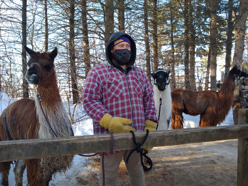 Carson's Llovable Llamas Owner