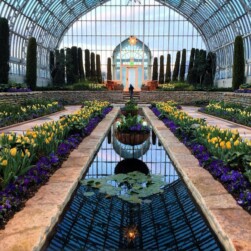 Como Spring Flowers