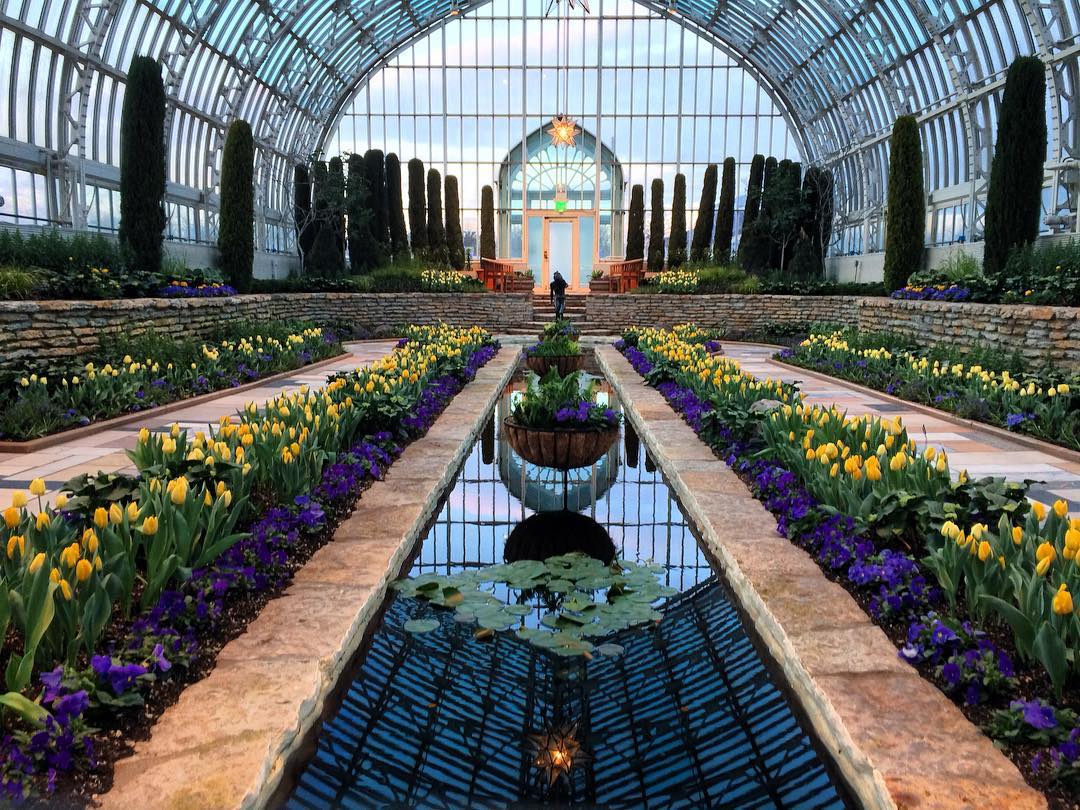 como park conservatory spring flower show thrifty minnesota