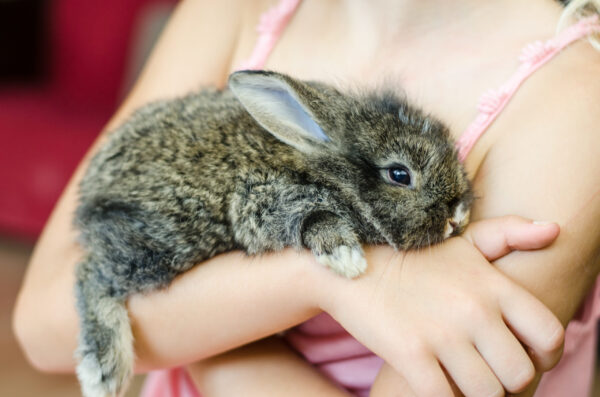 little child holding a bunny. 