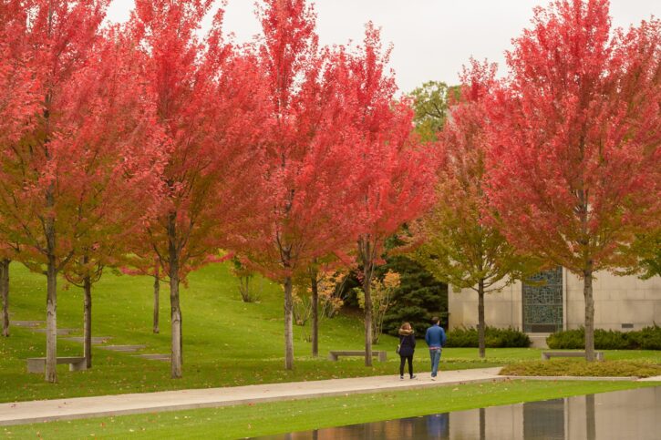 fall colors at Lakewood Cemetery in Minneapolis.