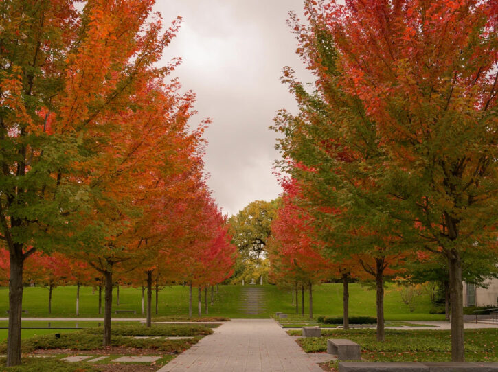 Lakewood Cemetery fall colors