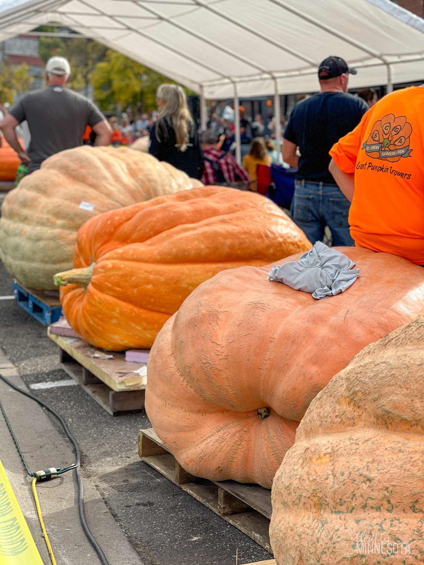 Stillwater Harvest Fest Thrifty Minnesota