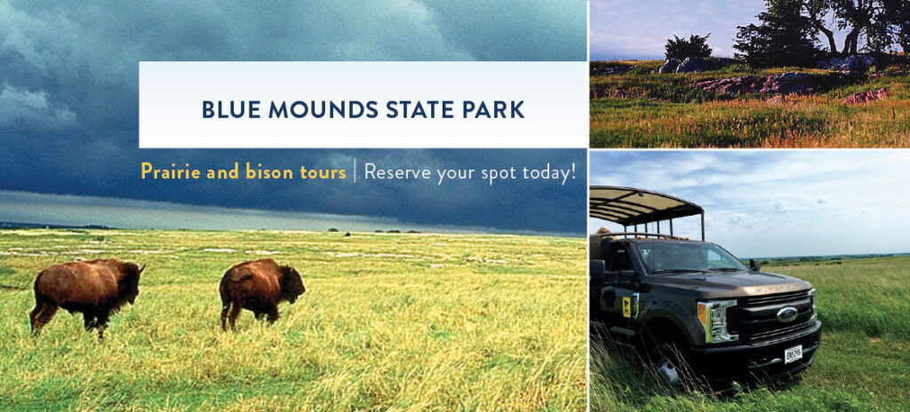 Blue Mounds State Park Bison Tour