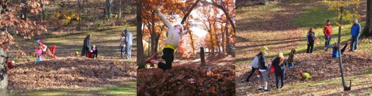 Leaf Fest at Caponi Art Park in Eagan