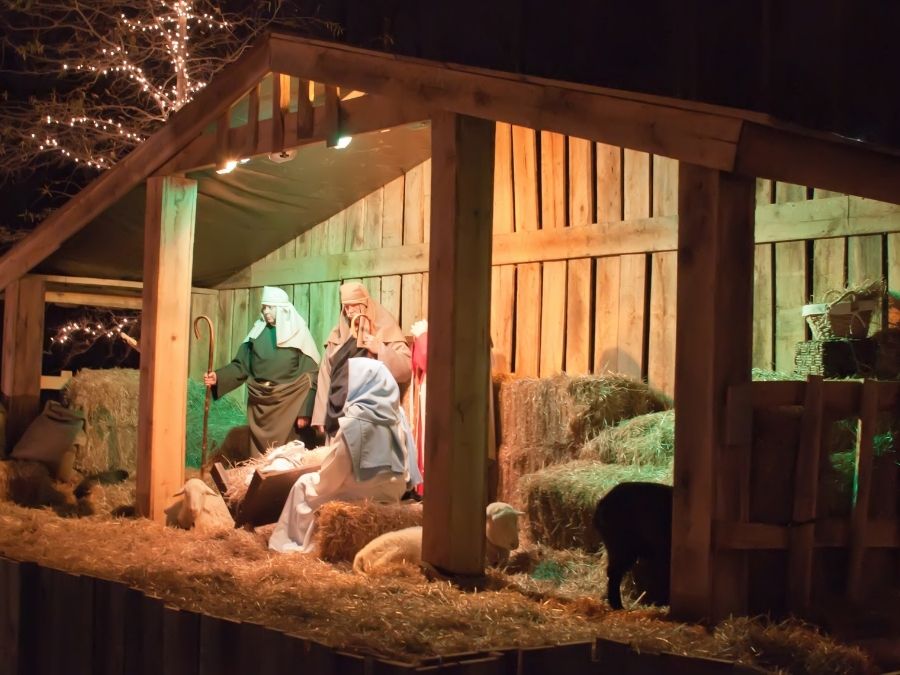 Live Nativity in Manger