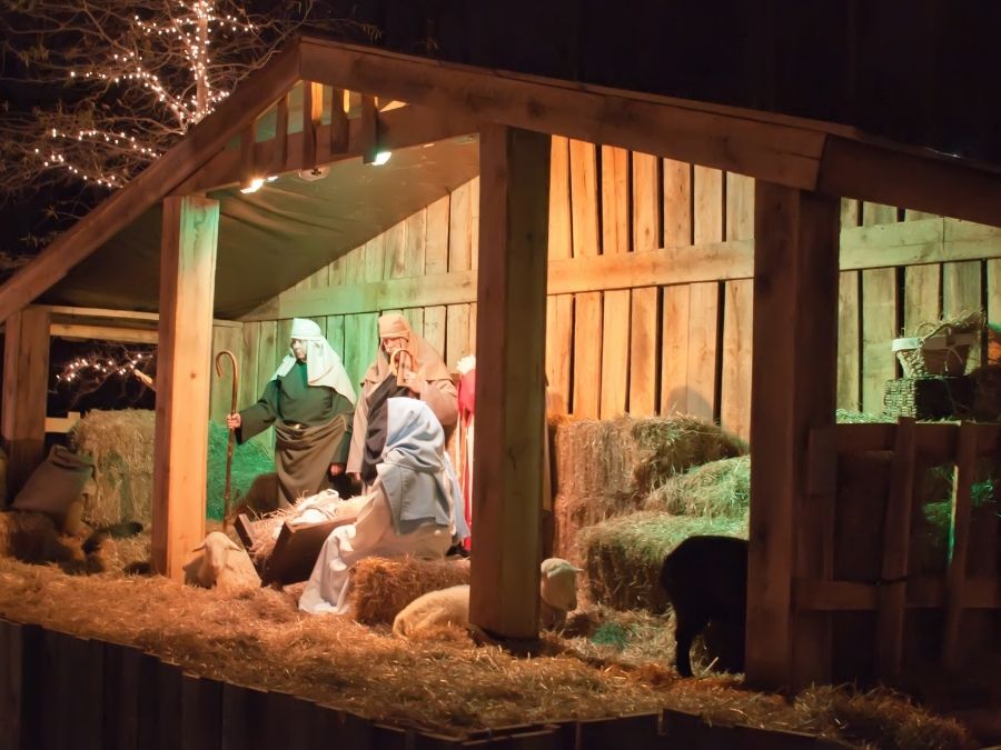 Live Nativity in Manger.