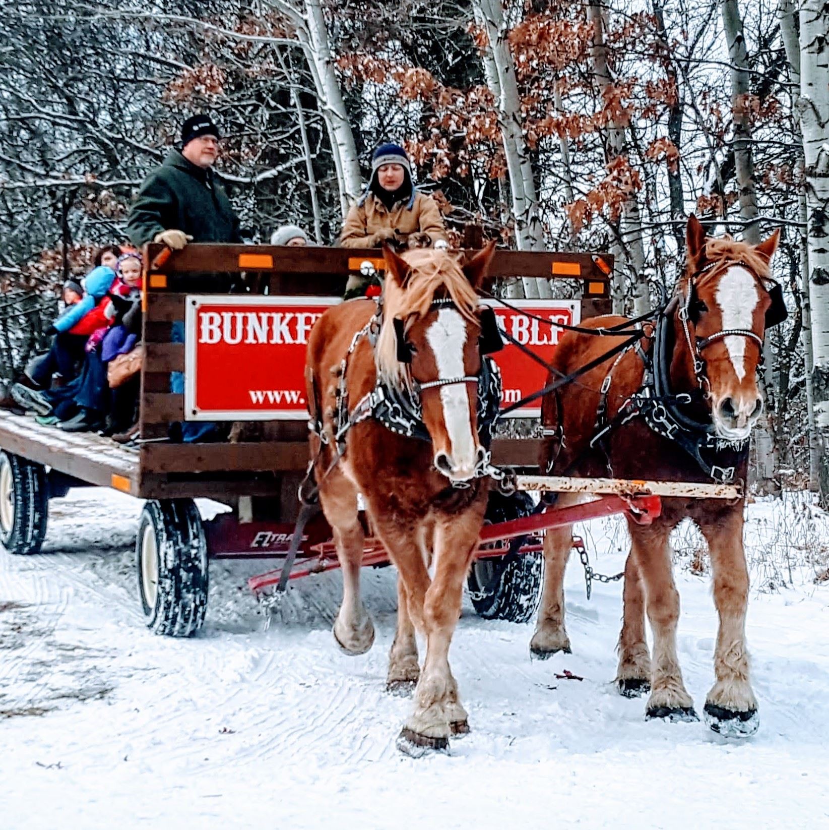 Horse Drawn Wagon Ride at Oakdale Winter Wonderland