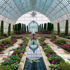 Como Park Conservatory Winter Flower Show 2023