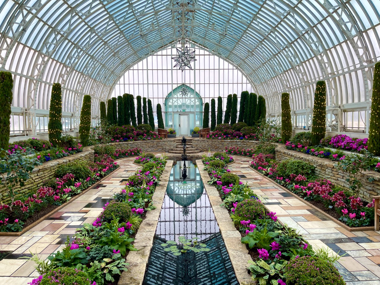 Como Park Conservatory Winter Flower Show - Thrifty Minnesota