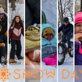 Wargo Nature Center Snow Day