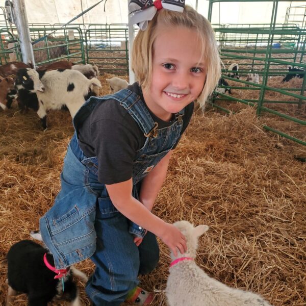 Girl playing with baby goats at Twin Cities Spring Babies Festival 2022