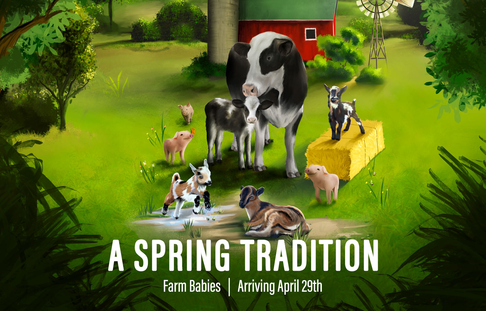 Farm Babies at the Minnesota Zoo April 29 through June 4 Thrifty